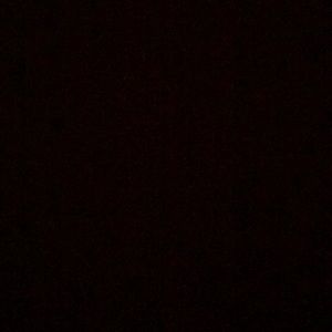 Meet your Posher, Noah